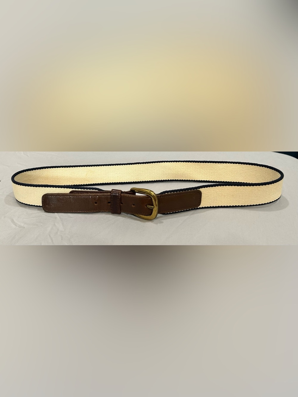 Dooney & Bourke Vintage Woven Belt w/ Solid Brass Buckle/Leather Trim